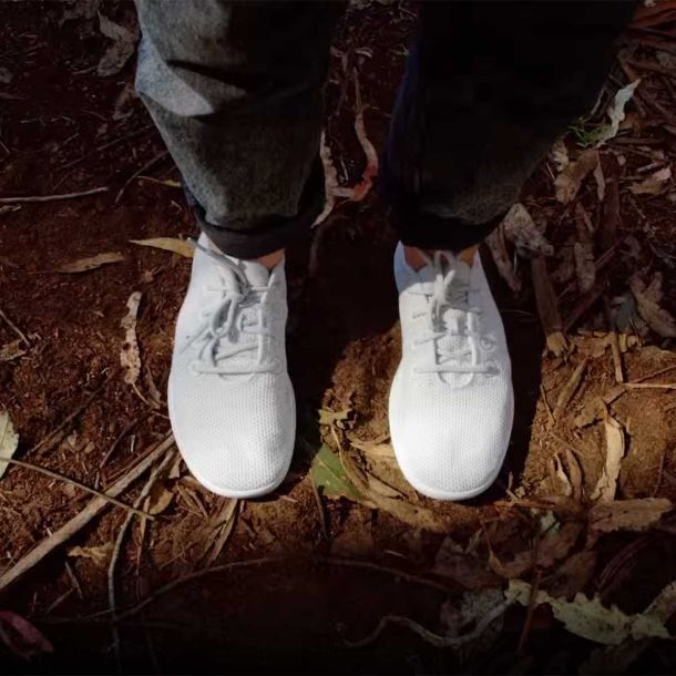Allbirds Shoes Made From Trees